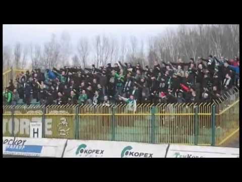 Stal Stalowa Wola w Katowicach