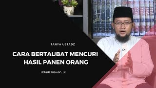 Download lagu Cara bertaubat mencuri hasil panen orang - ustadz Iriawan.Lc - Tanya Ustadz mp3