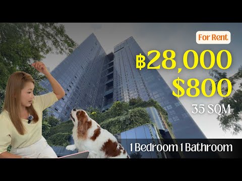 ASHTON Chula-Silom, Bangkok, Rama 4 Road, Si Phraya, Bang Rak, Bangkok, 1 Bedroom, 34 sqm, Condo For Rent, by Sophia Leung, 11400842 - DDproperty.com