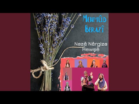 Nazê Nêrgiza Hewşê