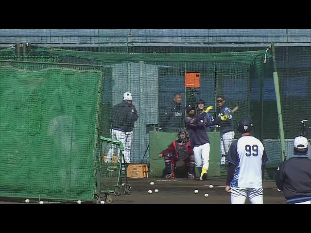 【春季キャンプ】昨日の紅白戦でフェンス直撃打を放ったライオンズ・モンテルが今日も飛ばす!!  2025年2月19日 埼玉西武ライオンズ