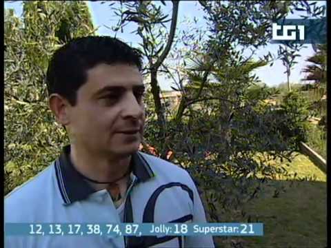 Lo scarabeo di sterco noioso dalla terra da alcolismo per comprare un fungo La codificazione da alcolismo di un Siluro o esperal