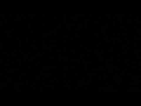 Summary of day 59 || LYF of DanFORD