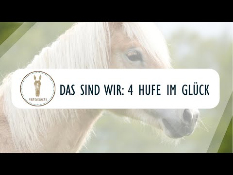 DAS SIND WIR | 4 Hufe im Glück und was es für uns bedeutet ❤️