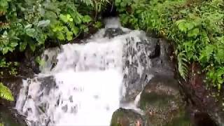 静岡県函南町 不動の滝(田代)