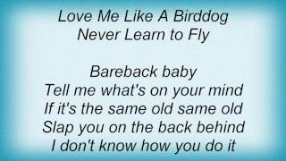 Aerosmith - Love Me Like A Bird Dog Lyrics