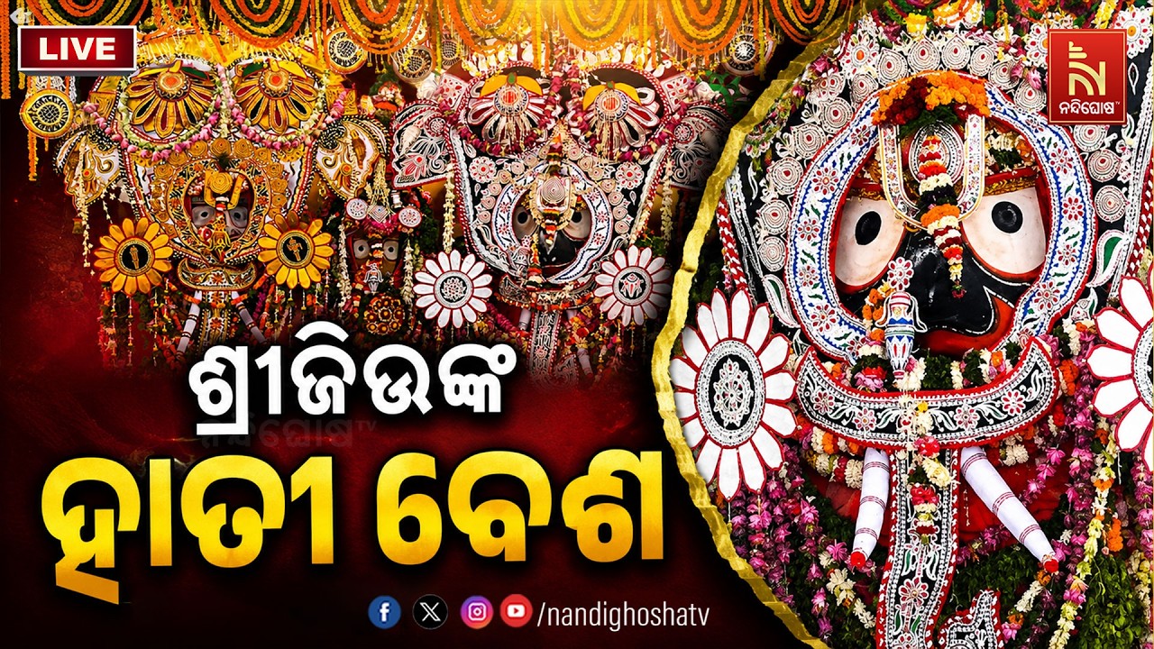 🔴 Live | ଶ୍ରୀଜିଉଙ୍କ ହାତୀ ବେଶ | Lord Jagannath Hati Besha Darshan | Puri | Nandighosha TV