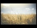 Odesza - Bloom (Live) Slowed & Reverb + 432Hz