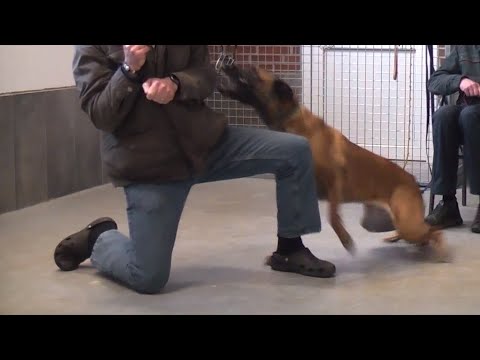 Erklär-Video: Ganz schön gefährlich!