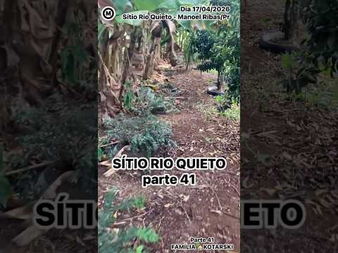 #Sítio #RioQuieto #Parte41 #dia 22/04/2026 #ManoelRibas #Paraná #Brasil #natureza #FamíliaKotarski