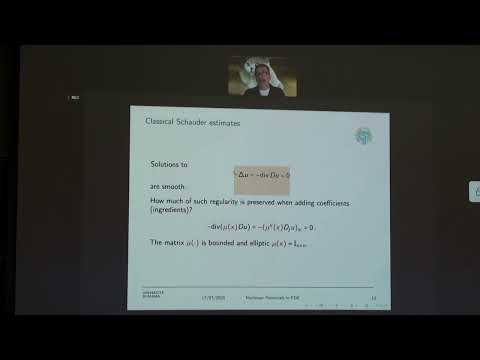 Okinawa Lectures II - Nonlinear potentials in PDE: from uniformly to nonuniformly, Giuseppe Mingione