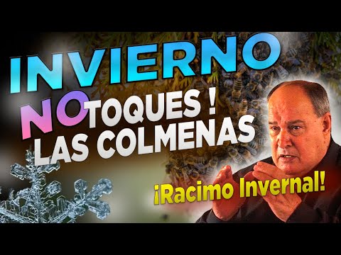 Pt. 5| RACIMO INVERNAL, COSECHA, CALEFACCIÓN COLMENA - Curso Completo de Permapicultura OSCAR PERONE