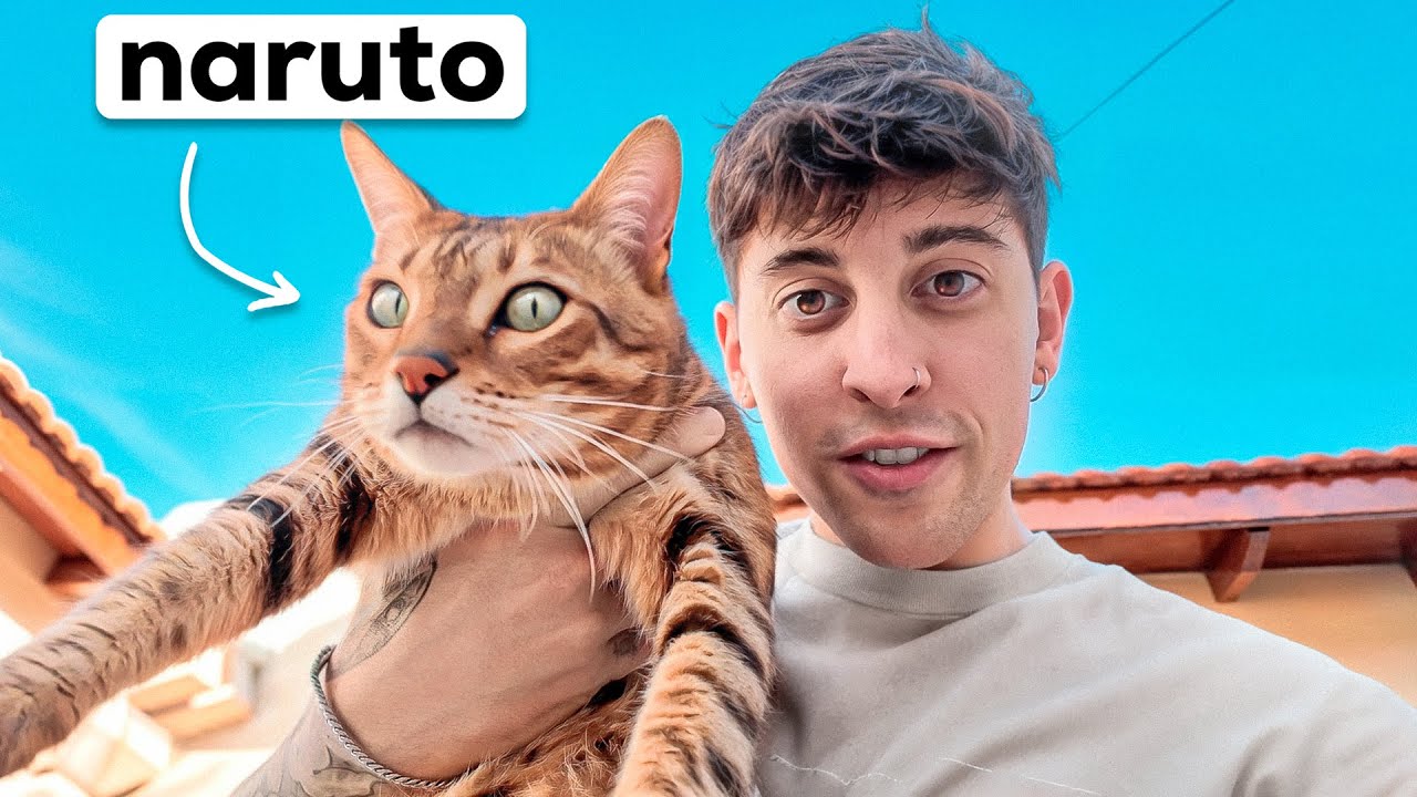 Me reencuentro con mi gato después de 2 años...