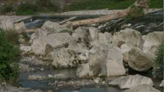 preview picture of video 'Il fiume Serio a Bariano - 1'