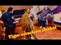 Chahat fateh ali khan pr tiger nay attack kar dia