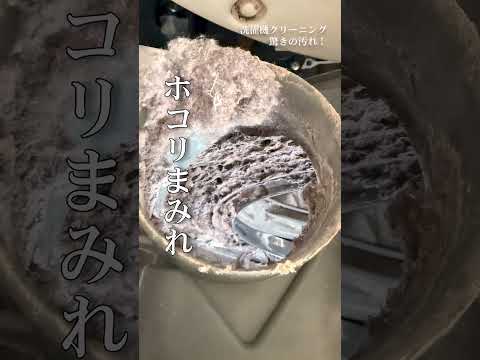 ドラム式洗濯機 クリーニングしたらやばかった