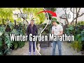 I Left My Tropical Plants Outside For Winter Here S What Survived And What Died