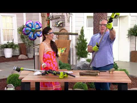 Sun Joe 24V Hand-held Chainsaw with Extending Long Reach Pole on QVC
