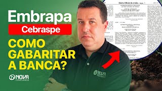 CONCURSO EMBRAPA 2024: COMO SE PREPARAR PARA A BANCA CEBRASPE