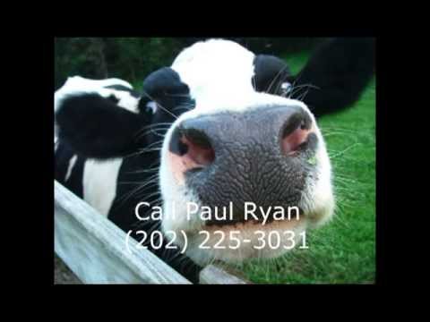 Paul Ryan and the Magic Beans