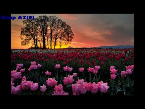 Grup AZIEL - Gata-mi este inima de-a Te lauda