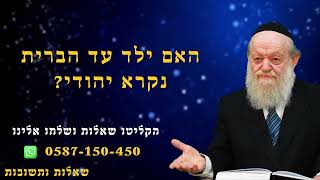 היכן נמצאת תיבת נח? | הרב יוסף צ. בן פורת (הרב יוסף צבי בן פורת) - התמונה מוצגת ישירות מתוך אתר האינטרנט יוטיוב. זכויות היוצרים בתמונה שייכות ליוצרה. קישור קרדיט למקור התוכן נמצא בתוך דף הסרטון היכן נמצאת תיבת נח? | הרב יוסף צ. בן פורת (הרב יוסף צבי בן פורת) - התמונה מוצגת ישירות מתוך אתר האינטרנט יוטיוב. זכויות היוצרים בתמונה שייכות ליוצרה. קישור קרדיט למקור התוכן נמצא בתוך דף הסרטון