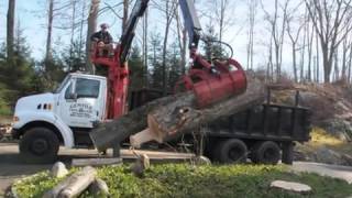 preview picture of video 'Gentile Tree Service   New Milford  CT'