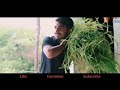 Meri Jaan Kadli Tere Dimple Ne Haryanvi Song