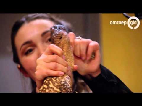 GLD Vandaag 18 februari 2016