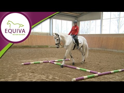 Stangen- und Cavalettiarbeit Teil 1 - Übungen für den Schritt (Anfänger)