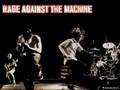 rage against the machine - ashes in the fall