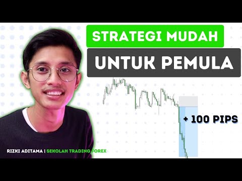 Strategi trading simple : Teknik mendapatkan 100 pips perhari