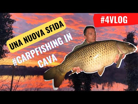 A new challenge  # Carpfishing in the quarry