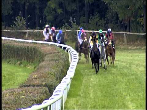 Galopprennbahn Dresden - 06.10.2013 - 4.Rennen