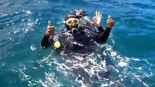 Batismo Submarino em Guarapari/ES - Mergulho na Ilha Escalvada. PARTE 01