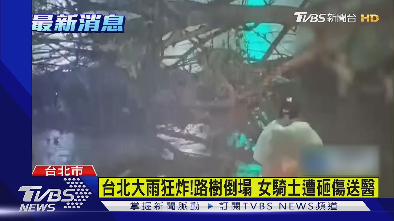 台北大雨狂炸！路樹倒塌　女騎士遭砸傷送醫