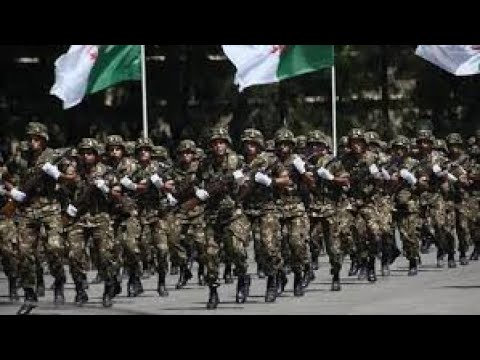 الجيش الجزائري في حالة خطر