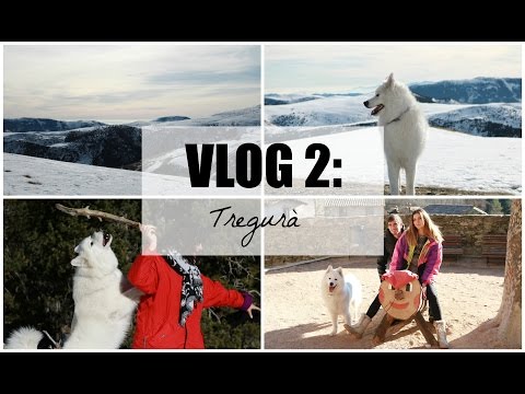 MI PERRO PISA LA NIEVE POR PRIMERA VEZ!!