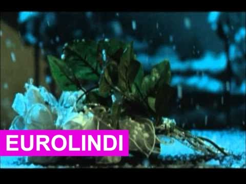 Ylli Demaj - Qe dy jave (EuroLindi & ETC)