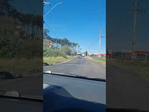 cidade de Campo do Tenente #família