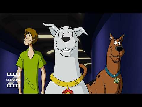 Scooby and Shaggy Meeting Krypto
