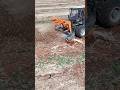 ​​ Hydraulic Mulcher TMC Cancela TLX 225 For Special Vehicles Tmccancela Mulchingsolutions