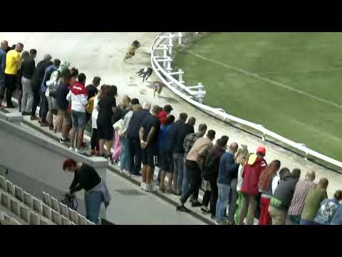 2022.09.11. 14. futam - Európa Derby Sprint Döntő