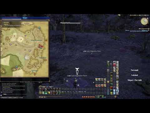 Ffxiv Tiger Lily