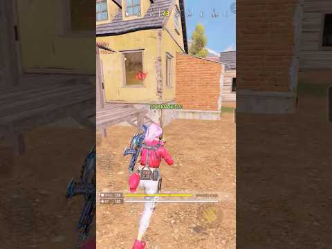 Encountered Echo & Striker with GKS