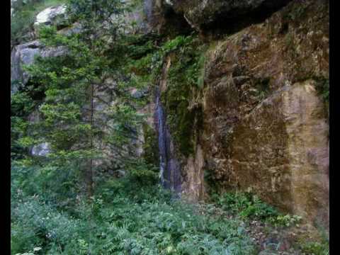 Kole Prendi & Moj e mira me djeg si prushi !