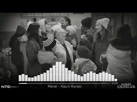 MERAL KENDİR KIRGIN ÇIÇEKLER