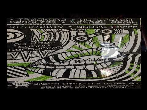 New Year Party 2017 France Trackerz/NoSystem/DropIn/kernelPanik/Revolt99