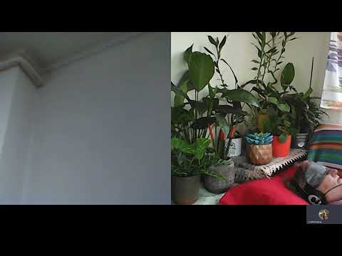 HIPNOZA REGRESIVA 680 CRISTINA, PROGR  COMPL  SI NESIUTELE CAI DE ABORDARE A,C MORARU