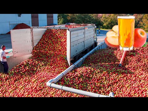 , title : 'How Apple Juice Is Made In Factory | Modern Fruit Juice Making Technology | Food Factory'